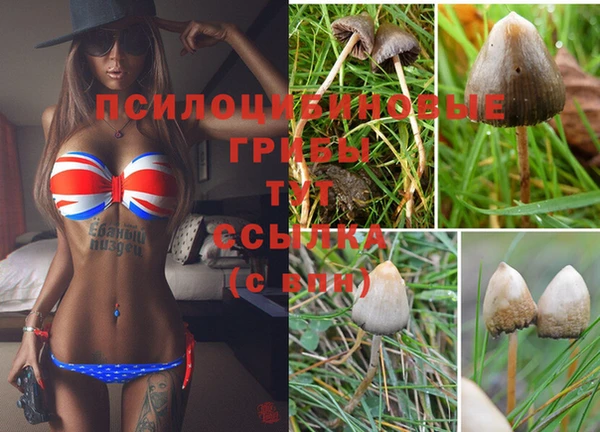 кокаин Бутурлиновка