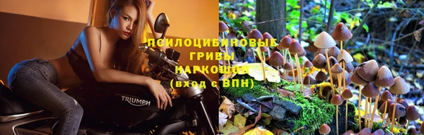 хмурый Надым
