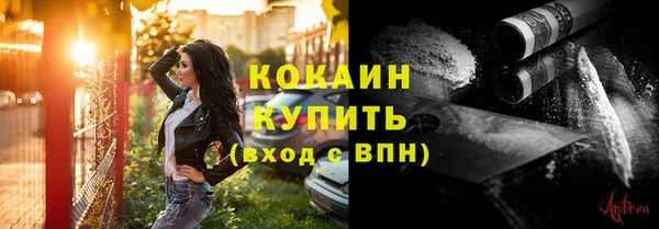 ГАЛЛЮЦИНОГЕННЫЕ ГРИБЫ Валдай