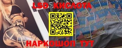 стаф Заволжье
