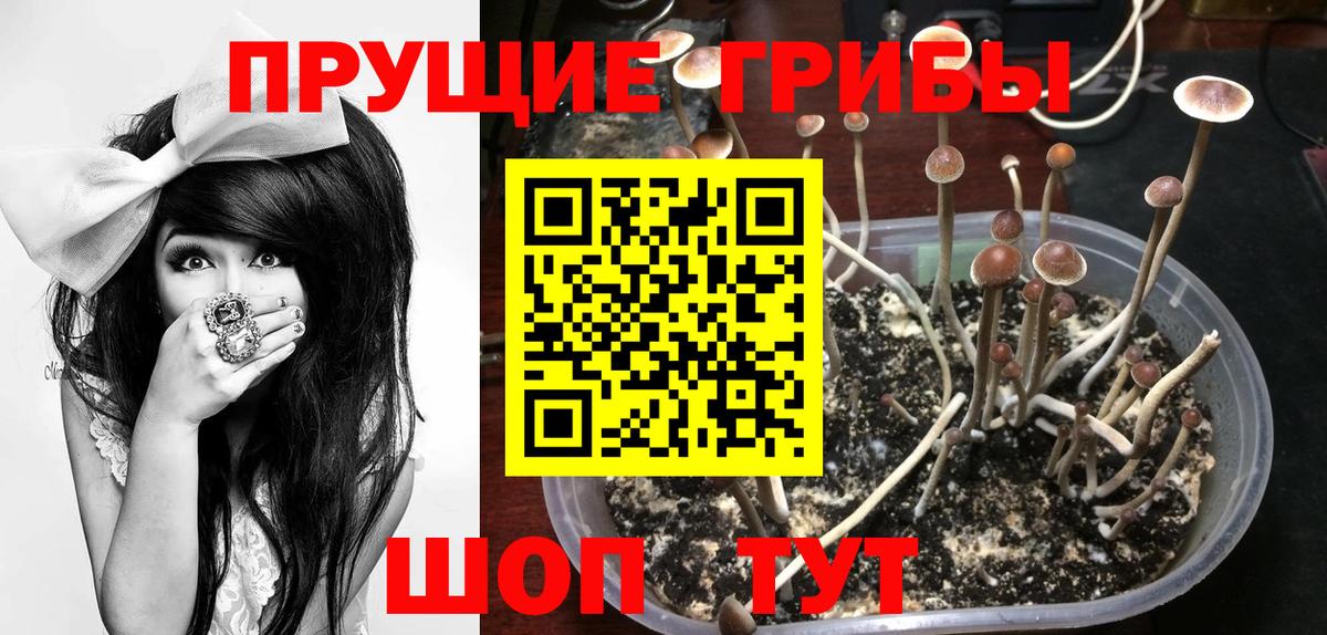 Псилоцибиновые грибы мухоморы Искитим