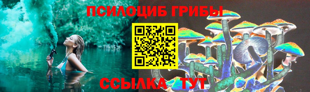 Псилоцибиновые грибы Psilocybine cubensis  Искитим 