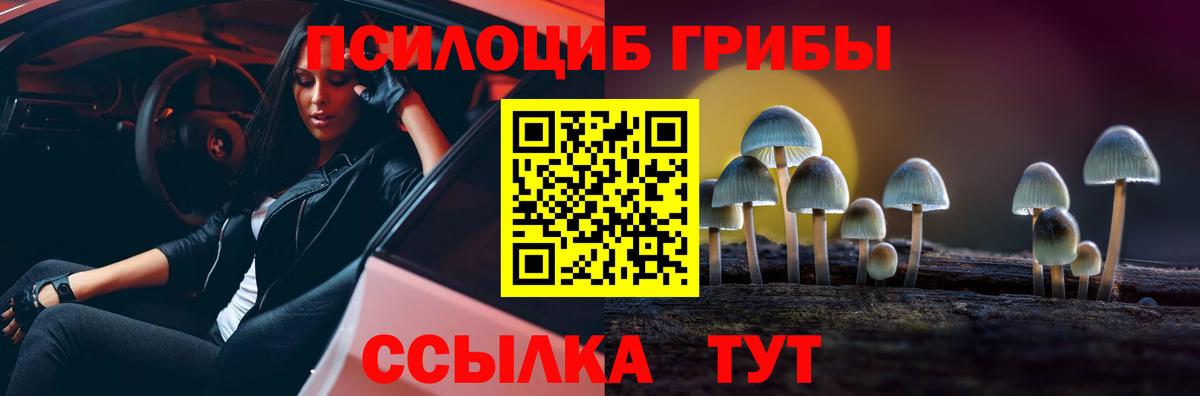 Галлюциногенные грибы мицелий  Вход с VPN  Искитим  Галлюциногенные грибы мухоморы 