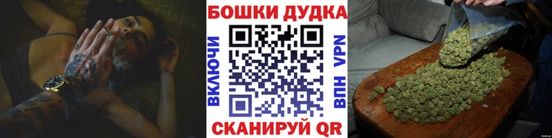 Бошки Шишки планчик  где найти наркотики  Искитим 